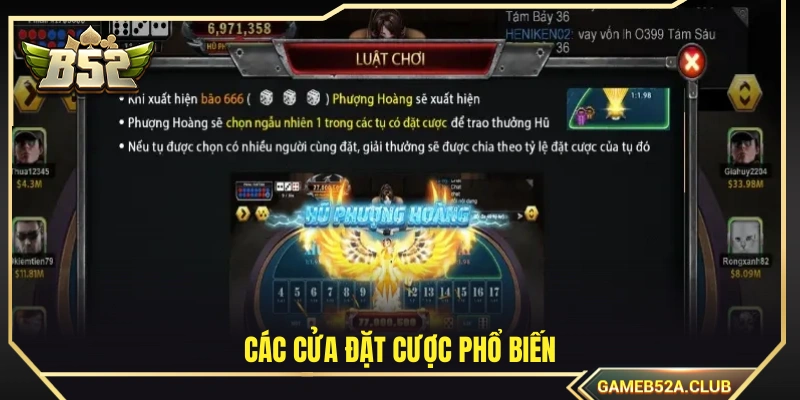 Các loại cửa cược thường gặp